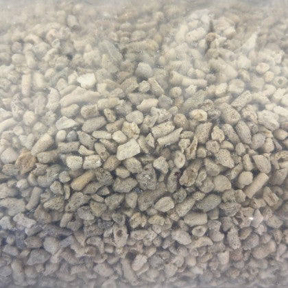 Echter Korallenbruch ca. 10 mm / 20 kg Sack