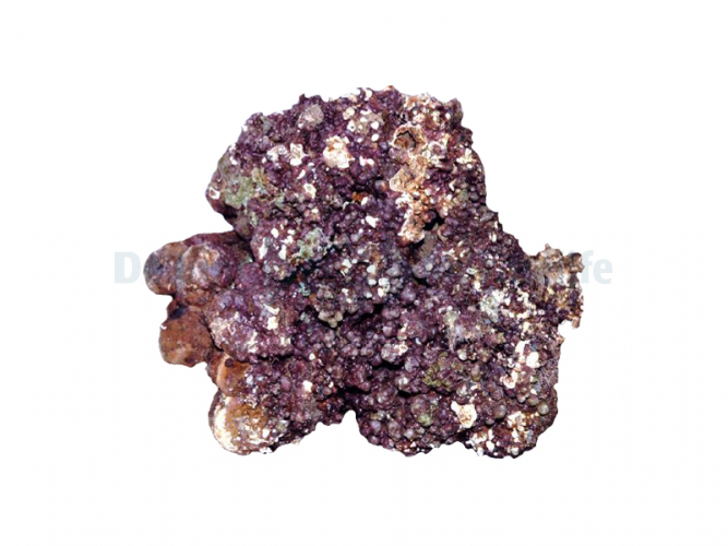 Lebendes Gestein Indonesien (P/kg)