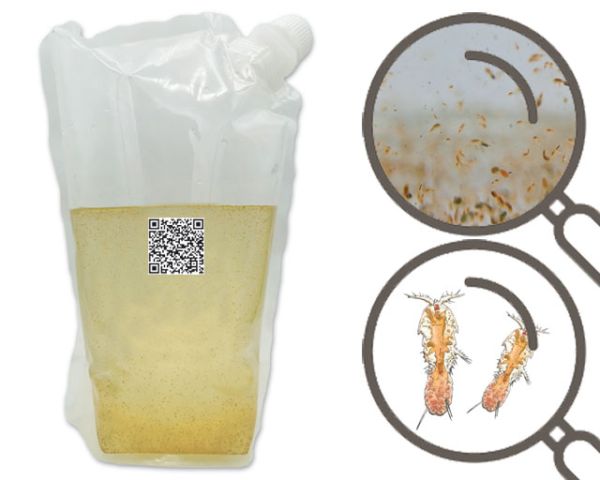 Mariner Copepoden Mix