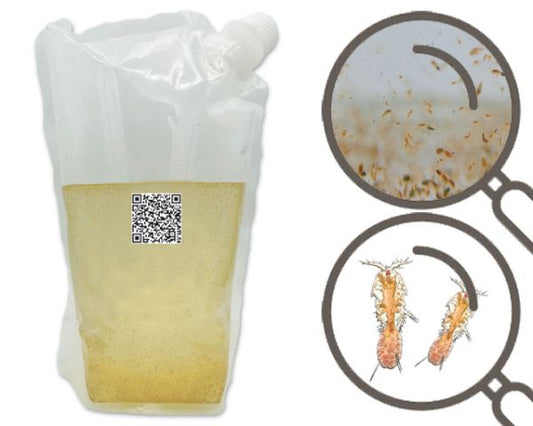 Mariner Copepoden Mix