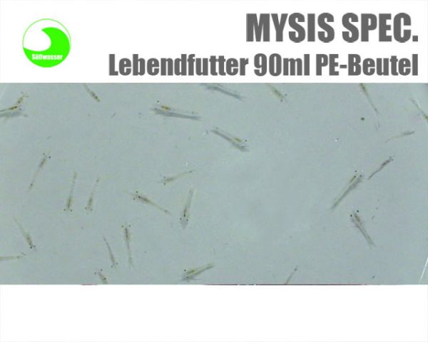 MYSIS SPEC. 90ml lebend